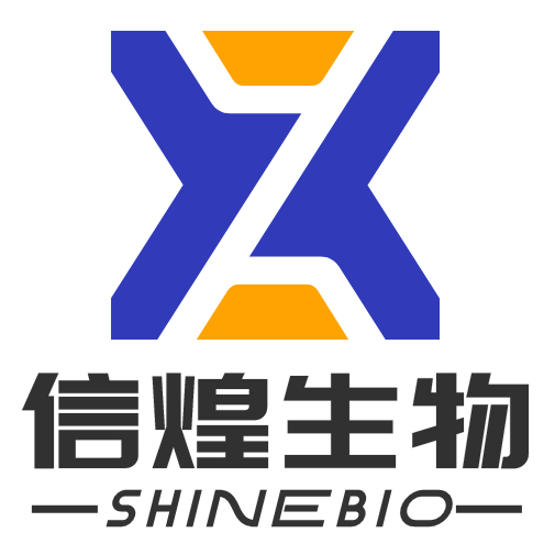 网站